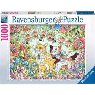👉 Puzzel dieren legpuzzels Kattenvriendschap (1000 stukjes) 4005556167319