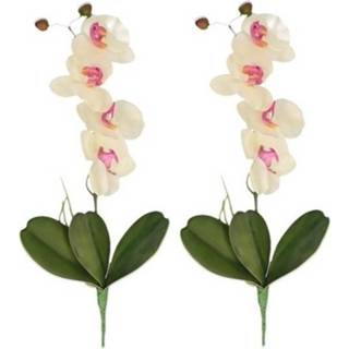 Kunstplant wit roze 2x Wit/Roze Orchidee/Phalaenopsis kunstplanten 44 cm voor binnen
