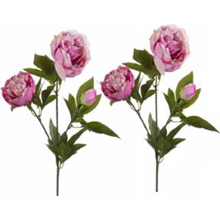 👉 Kunstbloem roze kunststof 2x Pioenrozen Kunsttakken 70 Cm - Nepplanten/kunstplanten 8720147488906