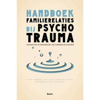 👉 Handboek familierelaties bij psychotrauma - Jan Baars (ISBN: 9789024436927) 9789024436927