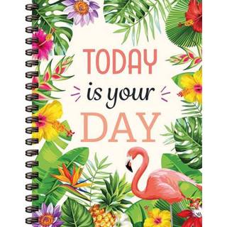 👉 Today is your day - Znu (ISBN: 9789044759402) 9789044759402