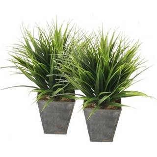 👉 Kunstplant zwarte kunststof groen 2x Grasplant In Zinken Pot 30 Cm - Kamerplant Kunstplanten/nepplanten 8719538481237