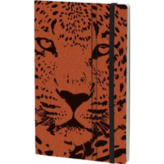👉 Notitieboek karton papier oranje Stifflex Leopard 21 X 13 Cm Karton/ivoor 8022697010287