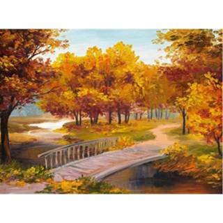 👉 Diamant multikleur Diamond Painting Herfst #2 - 50 X 70 Cm Incl. Steentjes En Diverse Tools 8719748390961