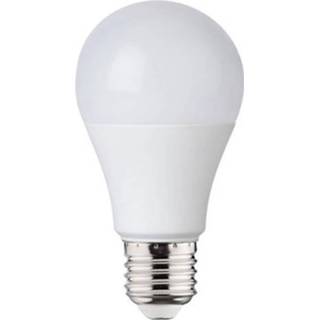 👉 Wit Led Lamp - E27 Fitting 12w Helder/koud 6400k 7433603780735