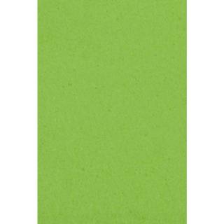 Tafelkleed limoen kunststof groen Amscan Op Rol Lime 30 X 1 Meter 48419156192