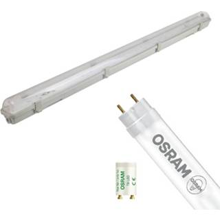 👉 Armatuur wit staal Osram - Led Tl Met T8 Buis Substitube Value Em 865 Aigi Hari 150cm Enkel 19.1w Helder/koud 6500k 6013924317387