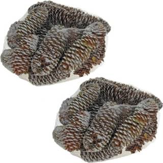 👉 Bruin hout 2x Zakjes Decoratie Dennenappels Bruin/sneeuw 8 Cm 8720276737074