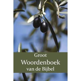 👉 Woordenboek groot Van De Bijbel O-z 9789057195464