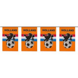 👉 Vlaggenlijn oranje kunststof Vlaggenlijn/vlaggetjes Holland 10 Meter 8718758569145