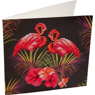 👉 Multikleur Crystal Art Kaart Flamingo's 5055865464516