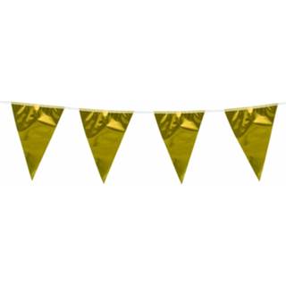 👉 Vlaggenlijn goud kunststof goudkleurig Metallic 10 Meter 8719538043817