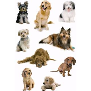 👉 Honden sticker papier multikleur Stickers 3 Vellen 8719538282407