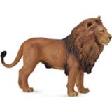 👉 Kunststof rood Collecta Wilde Dieren: Afrikaanse Leeuw 14 X 9 Cm 4892900887821