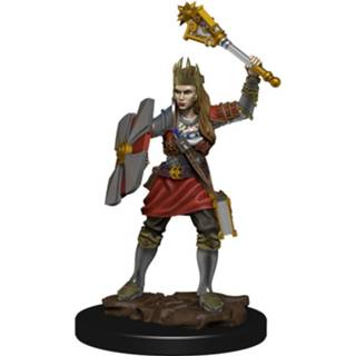 👉 D&D Icons of the Realms Premium Miniature pre-painted Human Cleric Female Case (6) 634482930434