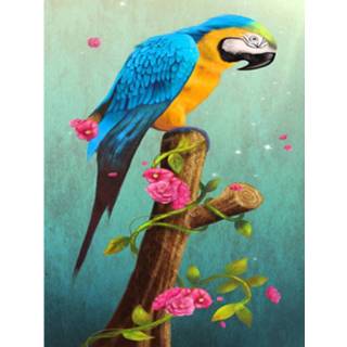 👉 Diamond Painting Pakket Papegaai Op Een Tak - Volledig Full 30x40 Cm Seos Shop ® 7426870705952