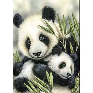 👉 Diamond Painting Pakket Panda's - Volwassenen 30x40 Cm Seos Shop ® 7426870705884
