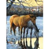 👉 Diamond Painting Pakket Paarden Drinken Water - Volledig Full 25x30 Cm Seos Shop ® 7426844996768