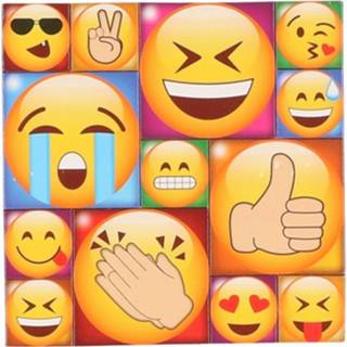 Kunststof multikleur 13x Emoji Smiley Memo Magneten Type 1 8719538556386