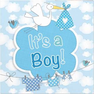 👉 Babyshower papier papieren multikleur jongens baby's 20x Geboorte Jongen Servetten Blauw 25 X Cm - Kraamfeestje Wegwerp Tafeldecoraties 8719538105034