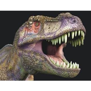 👉 Metaal multikleur Dieren Magneet 3d T-rex 8719538348240