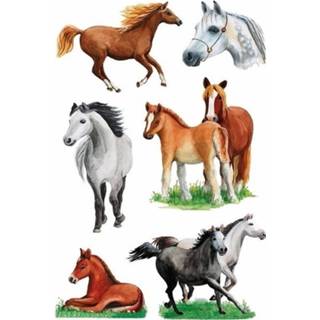 👉 Paardensticker papier multikleur Paarden Stickers 6 Vellen - Dieren 8719538505216
