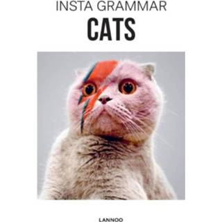 👉 Cats - Insta Grammar 9789401436953