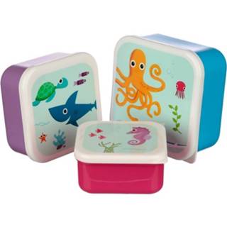 👉 Broodtrommel kunststof multikleur 3x Broodtrommel/lunchbox Oceaan Dieren Print - Voedsel Bewaarbakjes 8719538980167