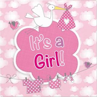 👉 Babyshower roze papier papieren multikleur meisjes baby's 60x Geboorte Meisje Servetten 25 X Cm - Kraamfeestje Wegwerp Tafeldecoraties 8720147448634