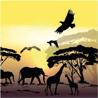 👉 Servet papier multikleur 40x Stuks Afrika Safari Servetten - Savanne Thema 3-laags Feest Artikelen Decoraties 8720276003797