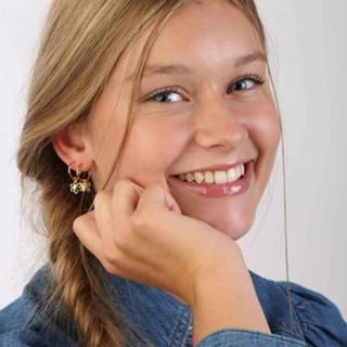 👉 Oorbelhanger zilveren goud zilver vlinder wit zirkonia lucardi gold zirk Mix&Match 8719802217302