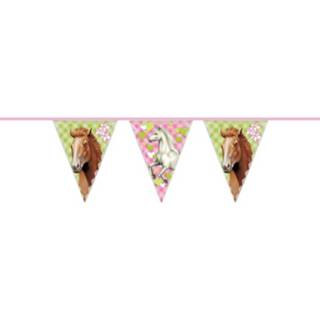 👉 Vlaggenlijn kunststof multikleur kinderen Paarden Feest 6 Meter - Kinderfeest Versiering Slinger Met Vlaggetjes 8720147583441