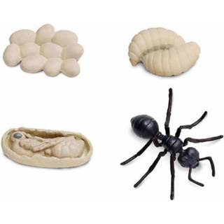 👉 Speelfiguur beige zwart kunststof Safari Speelfiguren Levenscyclus Van Een Mier Beige/zwart 4-delig 609366663913