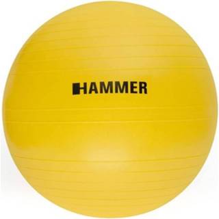 👉 Geel Hammer Fitness - Fitnessbal Ø 55 Cm 4005251664069