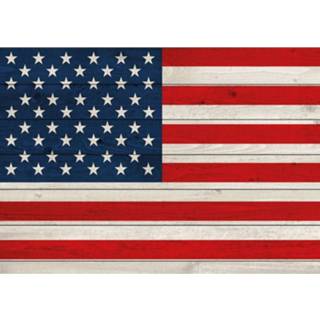 👉 Amerikaanse vlag multikleur Vintage Poster 84 X 59 Cm 8719538200197