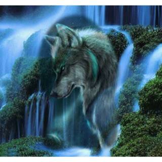 👉 Waterval Diamond Painting Pakket Wolf En - Volledig Full 30x30 Cm Seos Shop ® 7435127093018