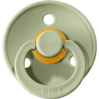 👉 Speen groen sage BiBs Retro Fopspeen / Smoke 2 Stuks 5713795198085