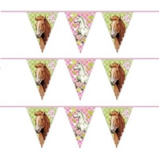 👉 Vlaggenlijn kunststof multikleur kinderen 3x Paarden Feest Vlaggenlijnen 6 Meter - Kinderfeest Versiering Slinger Met Vlaggetjes 3 Stuks 8720147583526