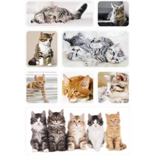 👉 Dierensticker papier multikleur kinderen 24x Poes/kat/kitten Dieren Stickers - Kinderstickers Stickervellen Knutselspullen 8719538952270