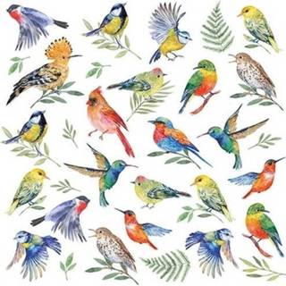 👉 Servet papier multikleur 60x Vogels / Dieren Thema Servetten 33 X Cm - Papieren 3-laags 8720147679847