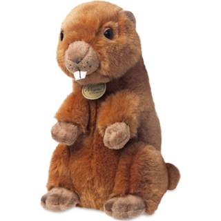 👉 Knuffel bruin pluche Aurora Marmot Junior 21,5 Cm 5034566609181