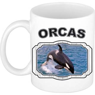 👉 Beker keramiek wit Dieren Liefhebber Grote Orka Mok 300 Ml - Kerramiek Cadeau / Walvissen 8720276851053
