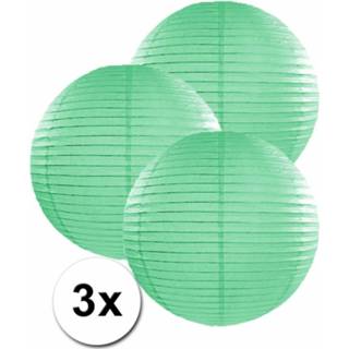 👉 Lampion groene papier groen 3 Mint Lampionnen 35 Cm 8718758989295