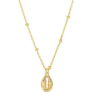 👉 Halsketting geelgoud One Size goudkleurig TFT Collier Schelp 2,0 mm 41 + 4 cm 8718834662845