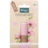 👉 Kneipp Lipcare almond candelilla 4.7 gram 4008233150482