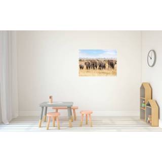 👉 Dieren poster kudde Afrikaanse olifanten A1 - 84 x 59 cm - kinderkamer decoratie posters Savanne Afrika olifant - kinderposters - Cadeau natuur / dieren liefhebber