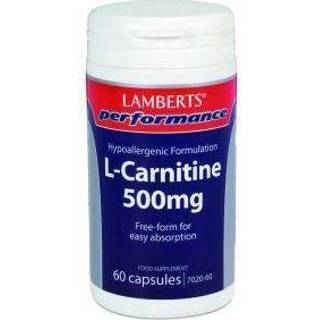 👉 Lamberts L-Carnitine 500 mg