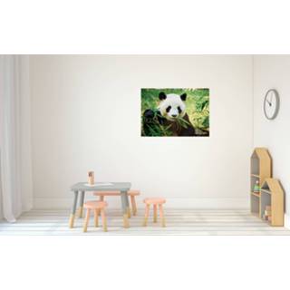 👉 Dieren poster bamboe etende panda A1 - 84 x 59 cm - Kinderkamer decoratie posters reuzenpanda / pandabeer - Kinderposters - Cadeau natuurliefhebber / panda