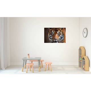 👉 Dieren poster Sibirische tijger A1 - 84 x 59 cm - jungle kinderkamer decoratie natuur posters grote katachtige / tijgers - kinderposters - cadeau dierenliefhebber