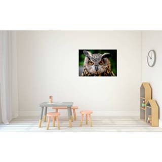 👉 Dieren poster Oehoe uil A1 - 84 x 59 cm - Kinderkamer decoratie posters uilen / vogel - Kinderposters - Cadeau natuur liefhebber